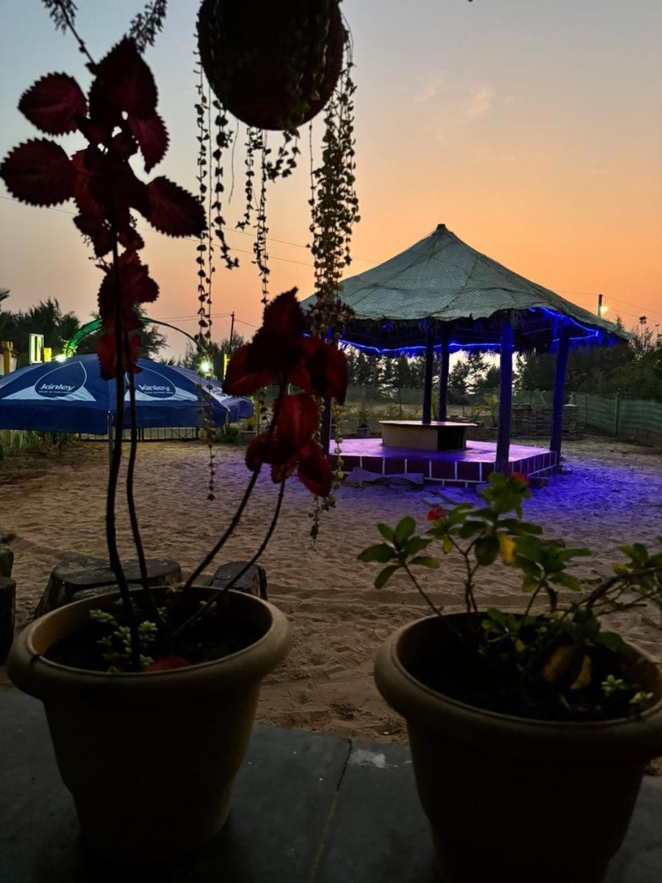 Turtle Beach House Vengurla 外观 照片
